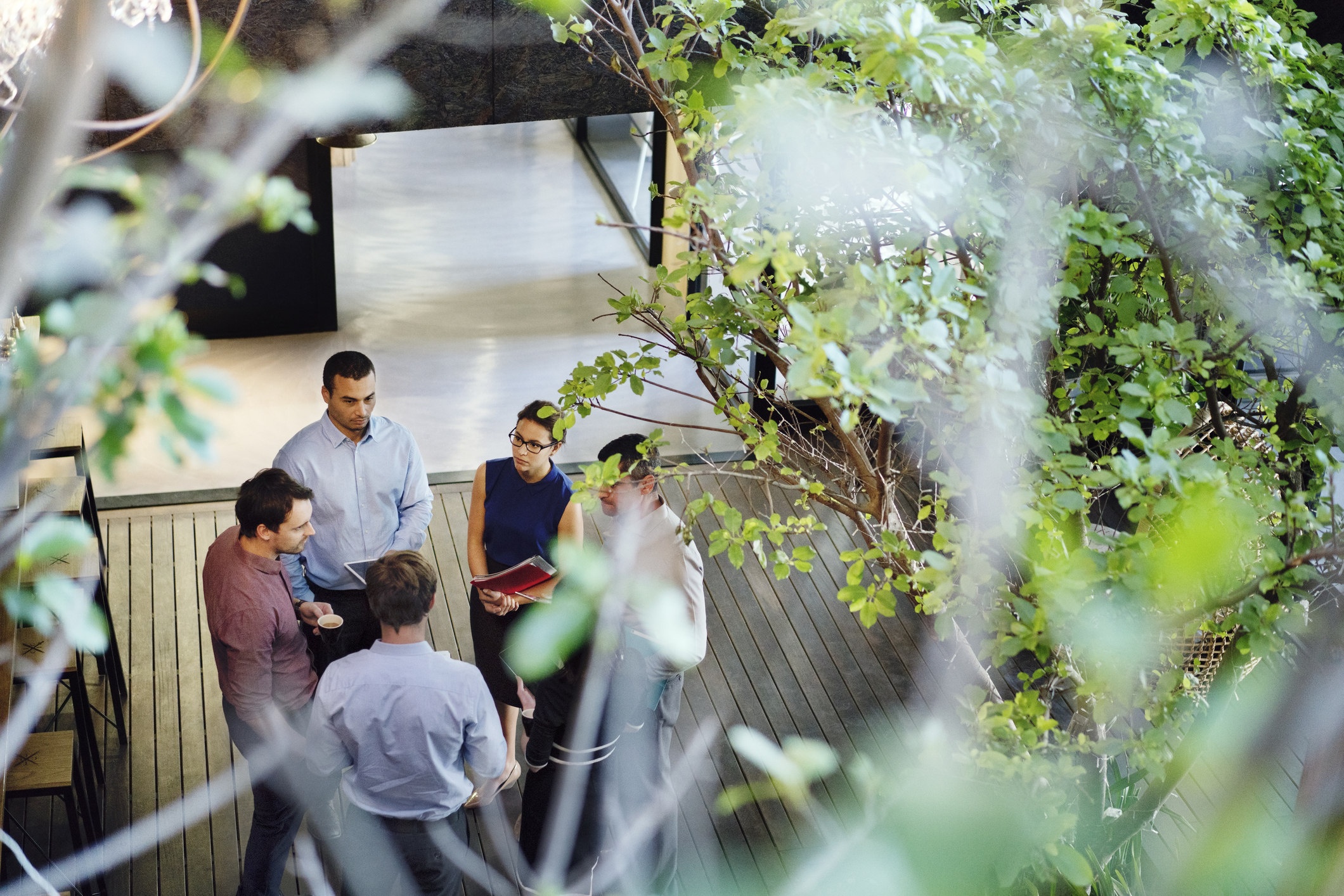 Employees holding meeting in biophilic office